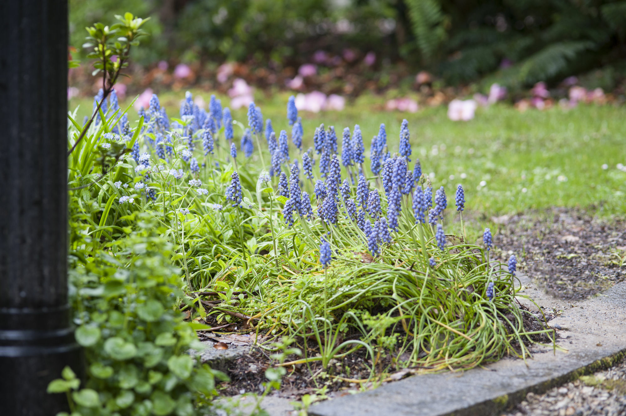 Beechmont Garden Retreat ξενώνας Olinda Εξωτερικό φωτογραφία